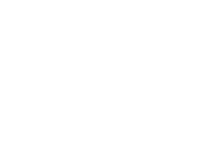 St. George's Scholar Institute